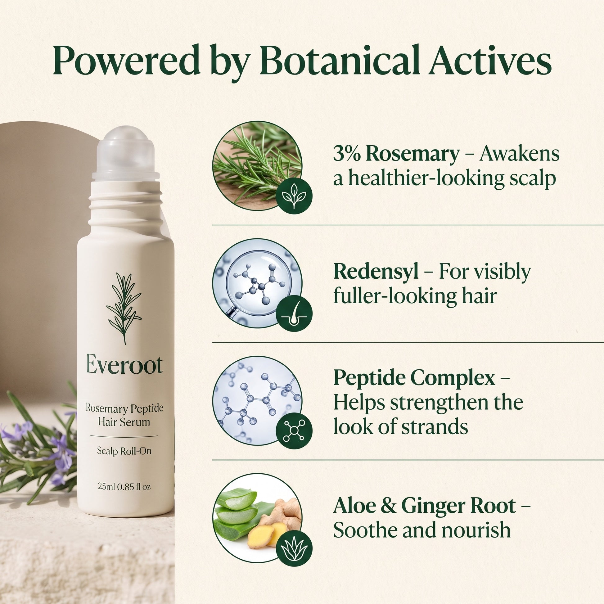 Everoot key ingredients: 3% rosemary, redensyl, peptide complex, aloe and ginger root