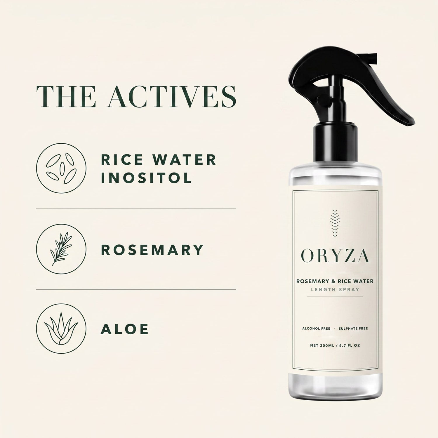 ORYZA key actives: rice water inositol, rosemary and aloe