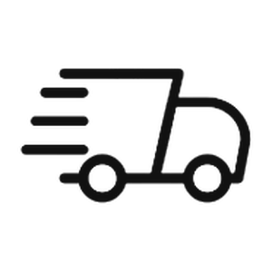 Fast delivery icon